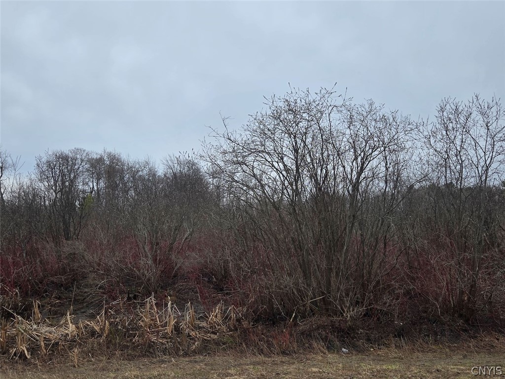 Hardys Road Gainesville, NY 14066 - Photo 14 of 19