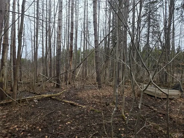 $50,000 | Hardys Road, Gainesville, NY 14066