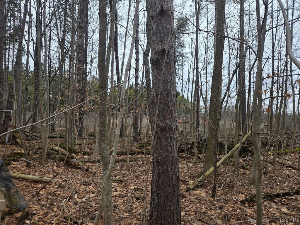 Hardys Road Gainesville, NY 14066 - Photo 16 of 19