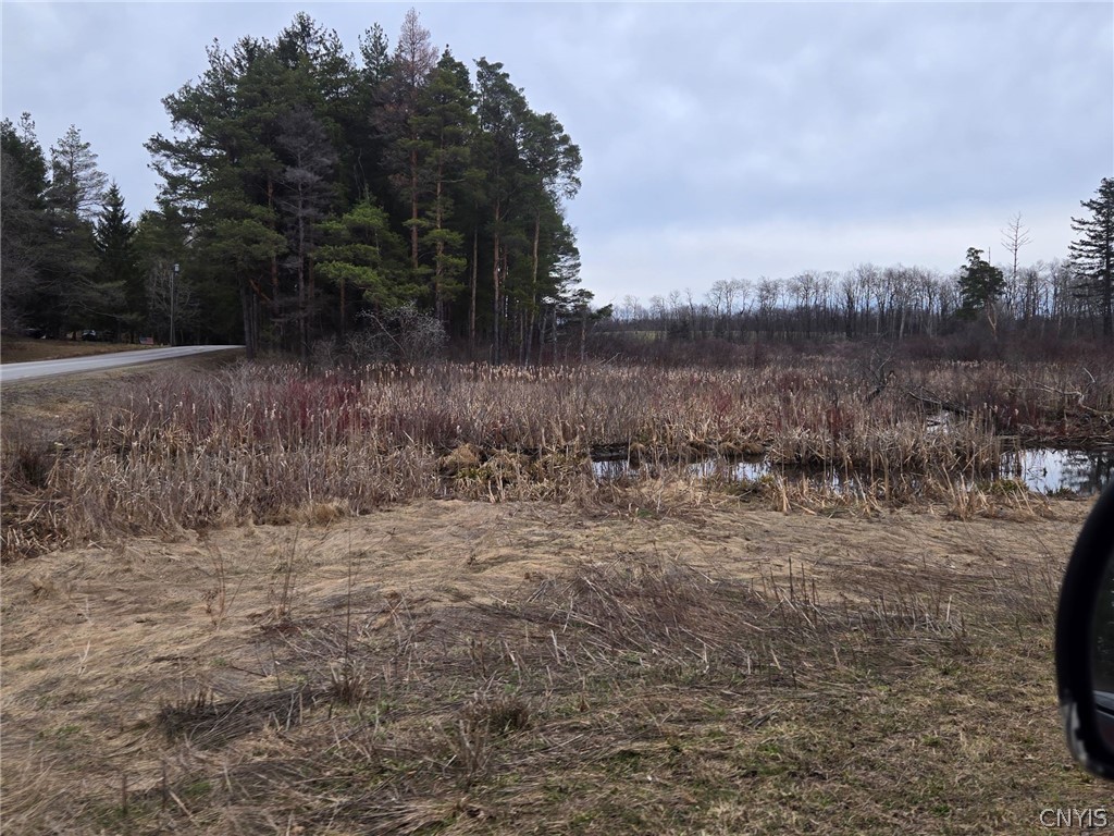 Hardys Road Gainesville, NY 14066 - Photo 16 of 19