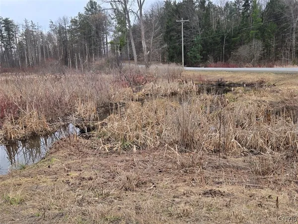 $50,000 | Hardys Road, Gainesville, NY 14066