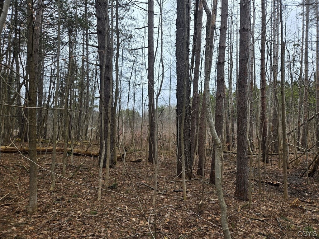 Hardys Road Gainesville, NY 14066 - Photo 18 of 19