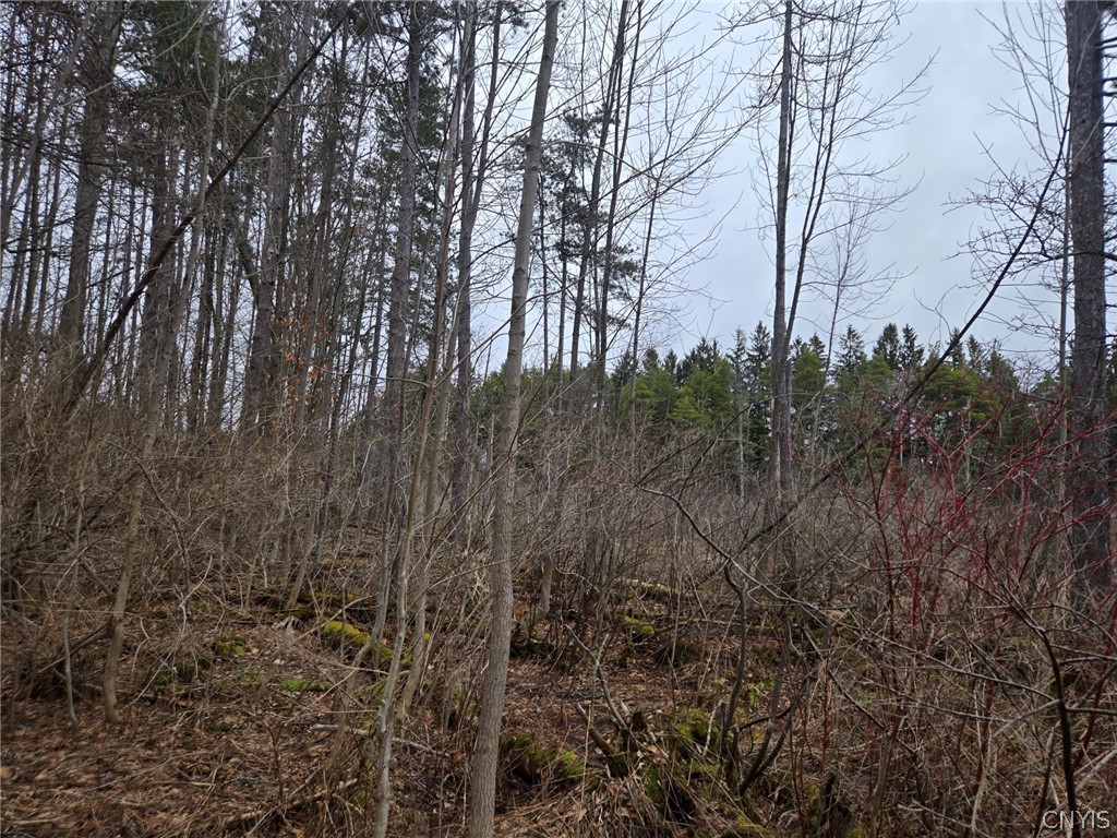 Hardys Road Gainesville, NY 14066 - Photo 3 of 19