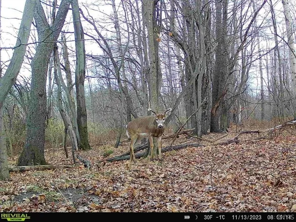 $50,000 | Hardys Road, Gainesville, NY 14066
