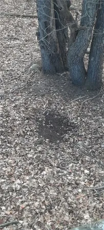 $50,000 | Hardys Road, Gainesville, NY 14066