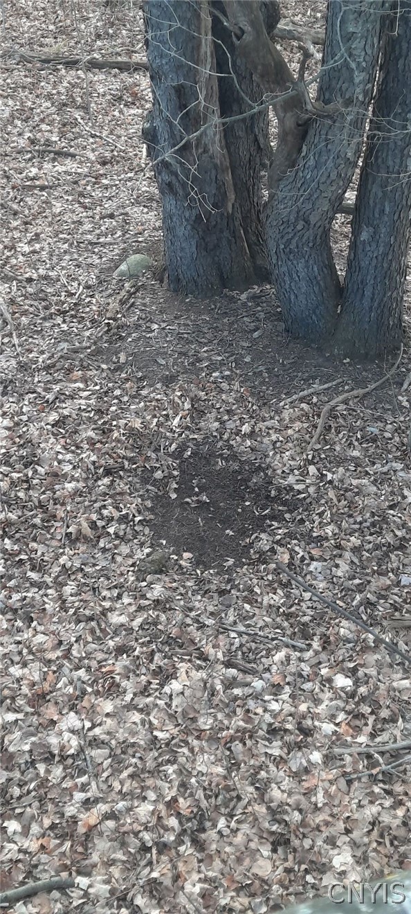 Hardys Road Gainesville, NY 14066 - Photo 5 of 19