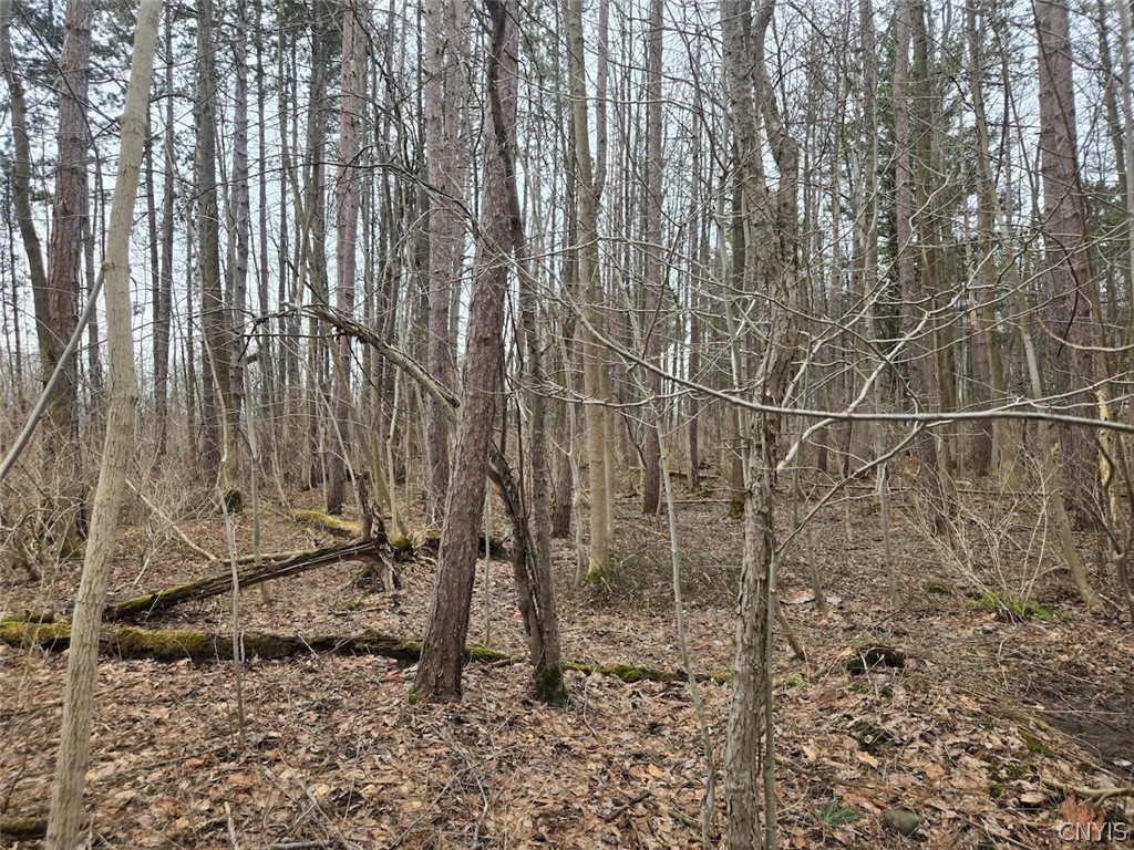 Hardys Road Gainesville, NY 14066 - Photo 5 of 19