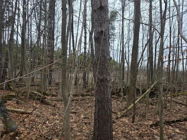 $50,000 | Hardys Road, Gainesville, NY 14066