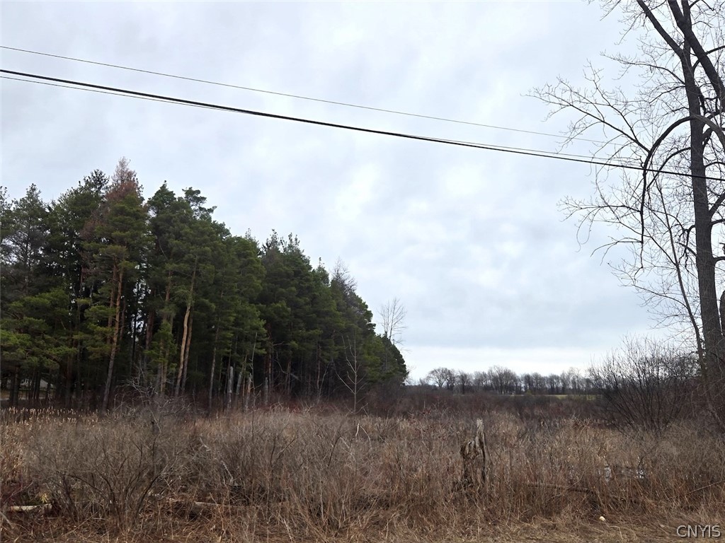 Hardys Road Gainesville, NY 14066 - Photo 8 of 19