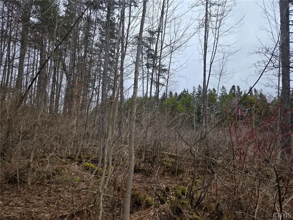 $50,000 | Hardys Road, Gainesville, NY 14066