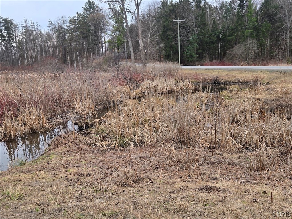 Hardys Road Gainesville, NY 14066 - Photo 9 of 19