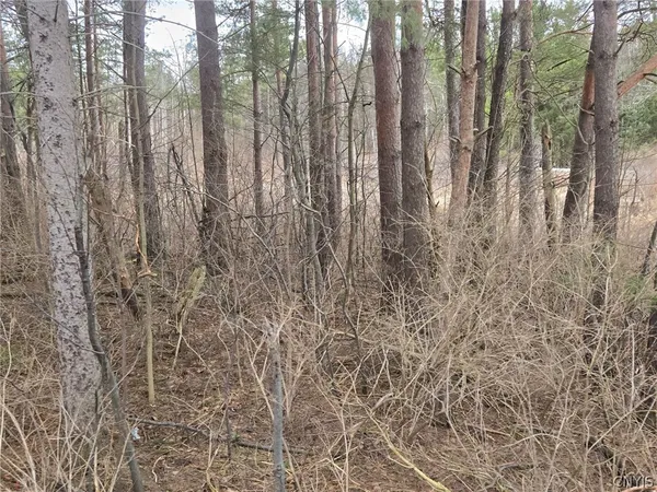 $50,000 | Hardys Road, Gainesville, NY 14066