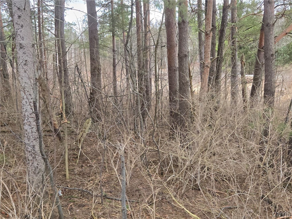 Hardys Road Gainesville, NY 14066 - Photo 10 of 19