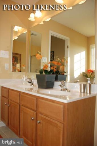 1695 Conrads Ferry Drive Point of Rocks, MD 21777 - Photo 17 of 18 Master Bath #2