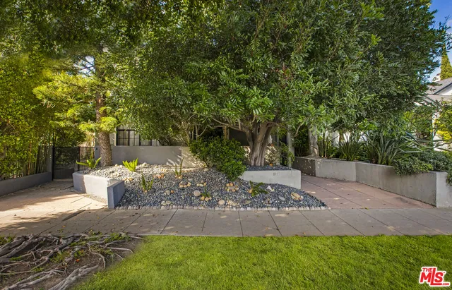 a view of a backyard with plants and trees