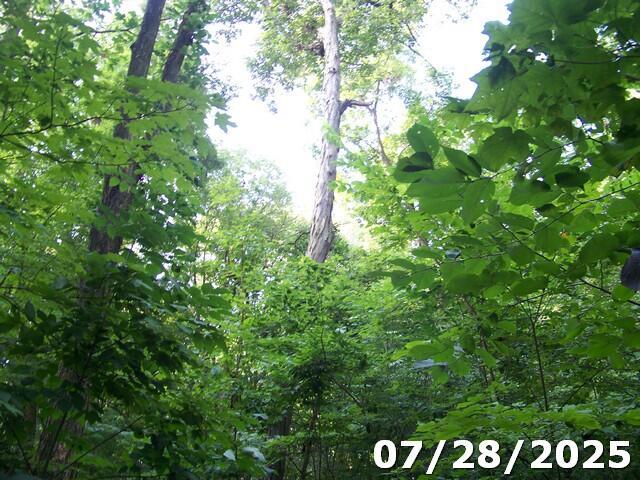 0 Owens Road East Marion, OH 43302 - Photo 6 of 7