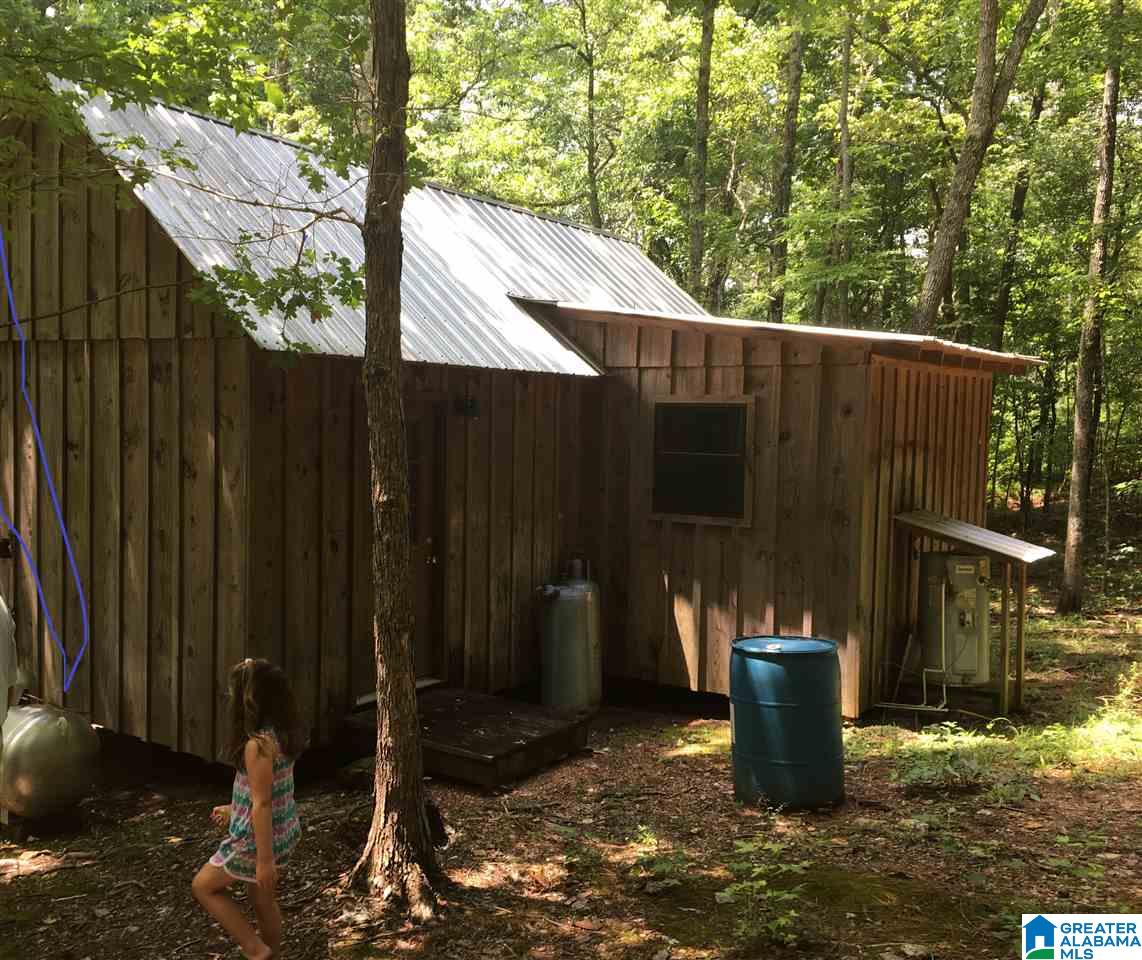7395 Germany Mountain Road Talladega, AL 35160 - Photo 1 of 6