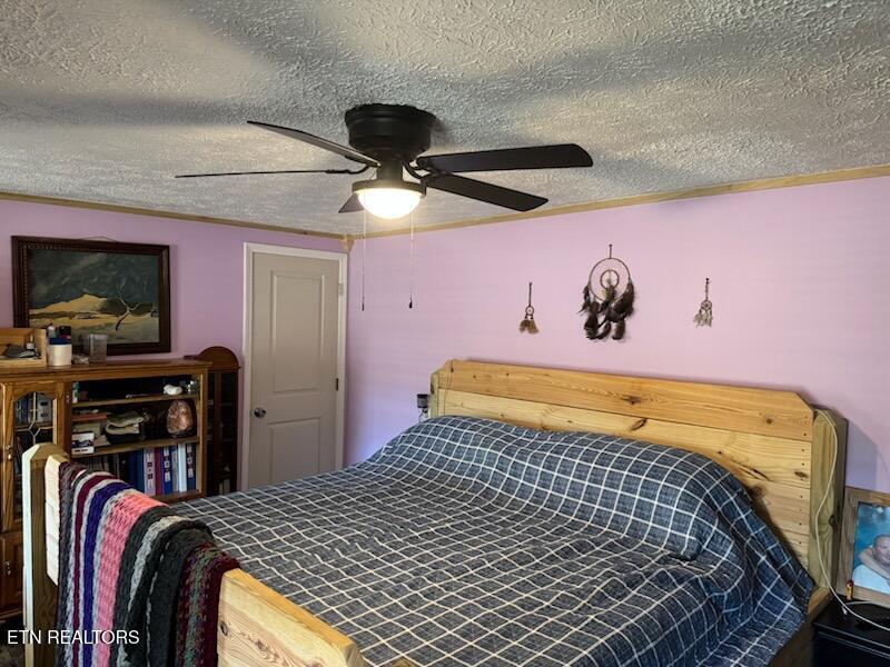 120 Volunteer Road Monterey, TN 38574 - Photo 22 of 53 mbr ceiling 2