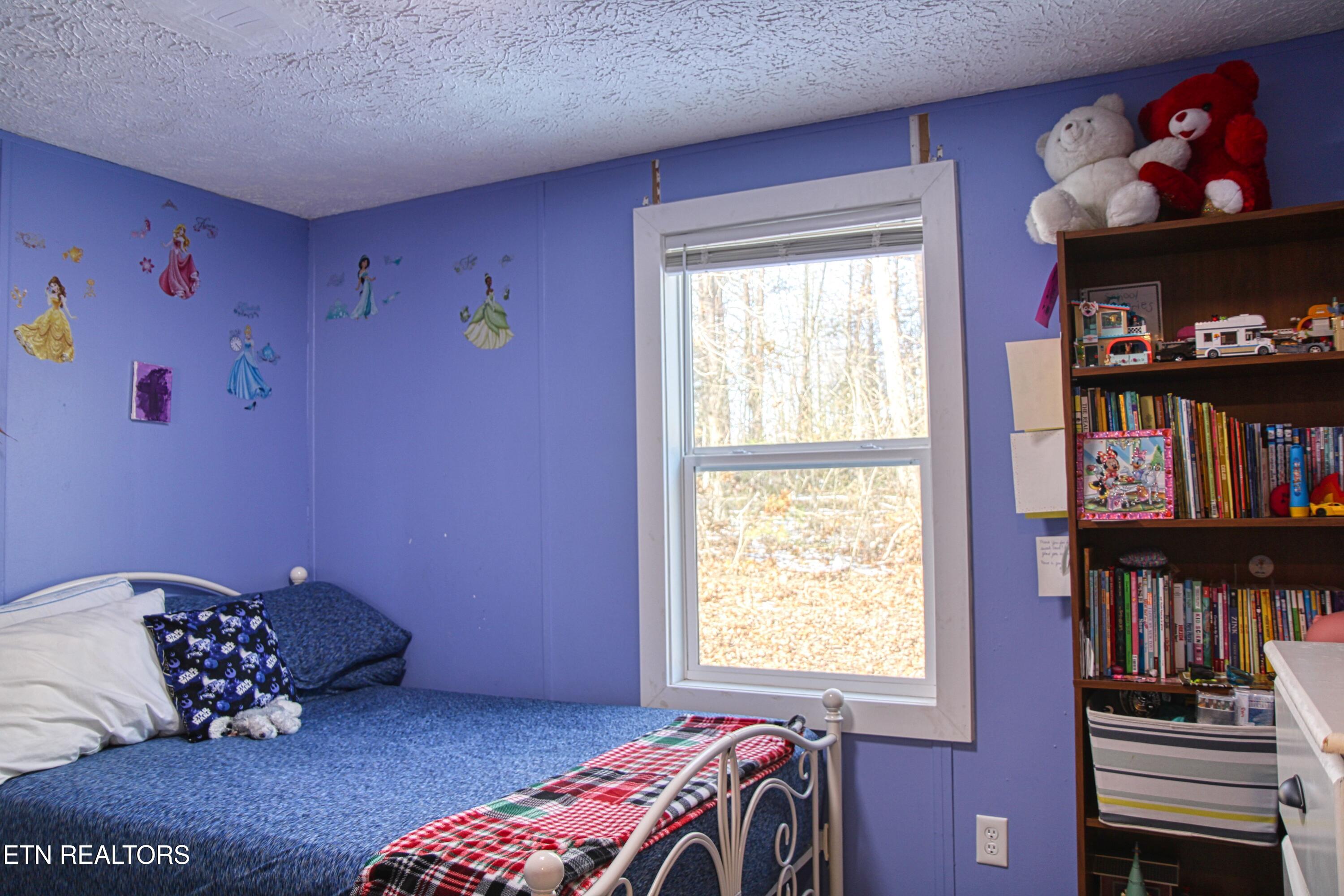 120 Volunteer Road Monterey, TN 38574 - Photo 28 of 53 br3