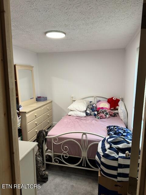 120 Volunteer Road Monterey, TN 38574 - Photo 29 of 53 BR3 updated