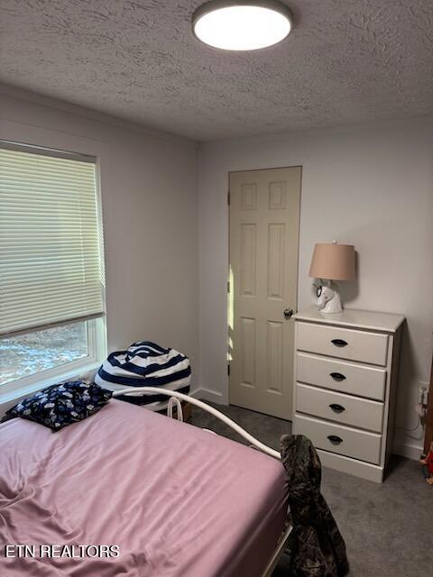 120 Volunteer Road Monterey, TN 38574 - Photo 31 of 53 BR3 updated