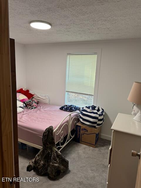 120 Volunteer Road Monterey, TN 38574 - Photo 32 of 53 BR3 updated