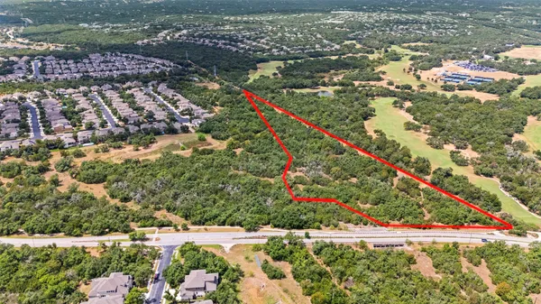 a view of a large tree