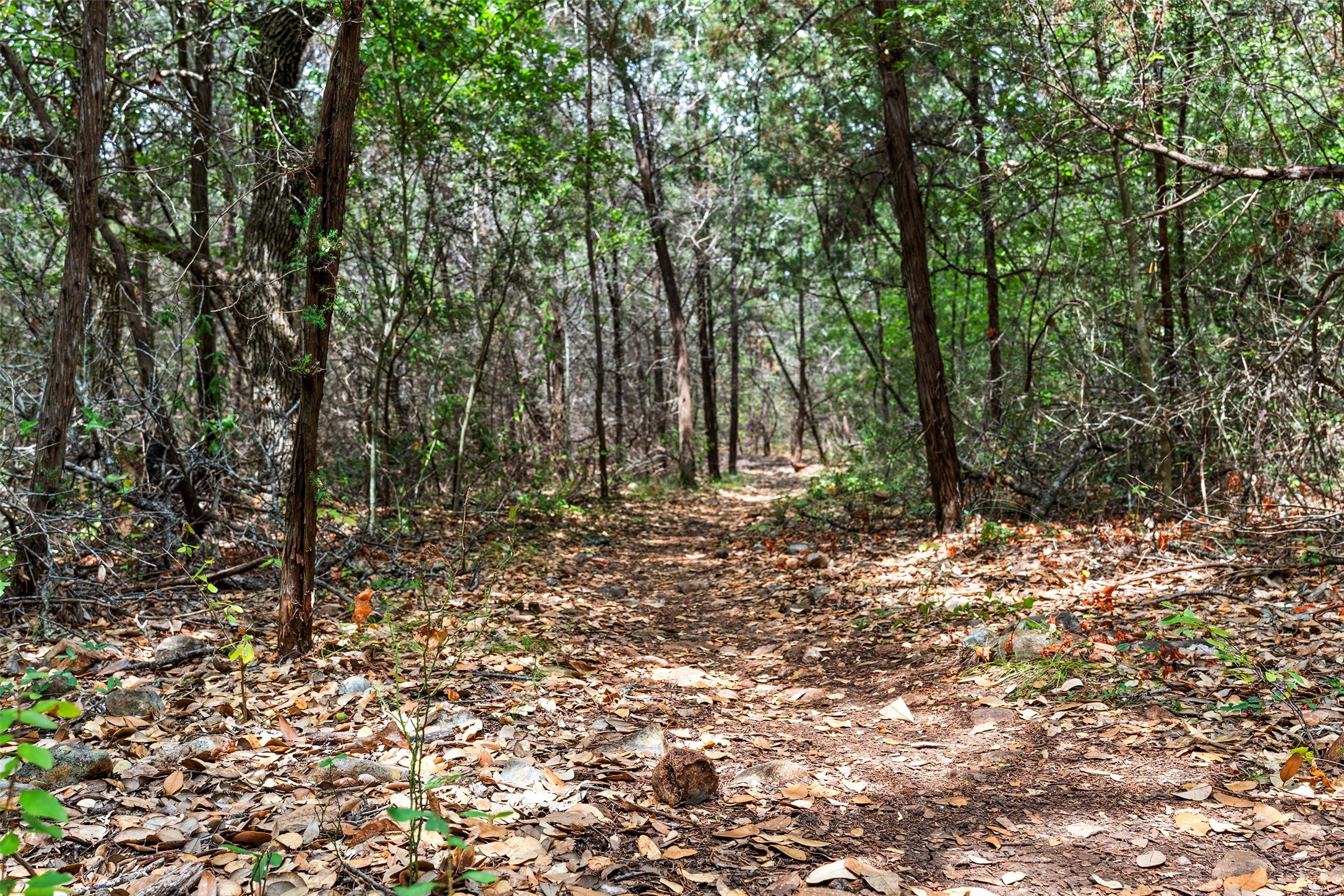 Tbd Escarpment Boulevard Austin, TX 78739 - Photo 8 of 9