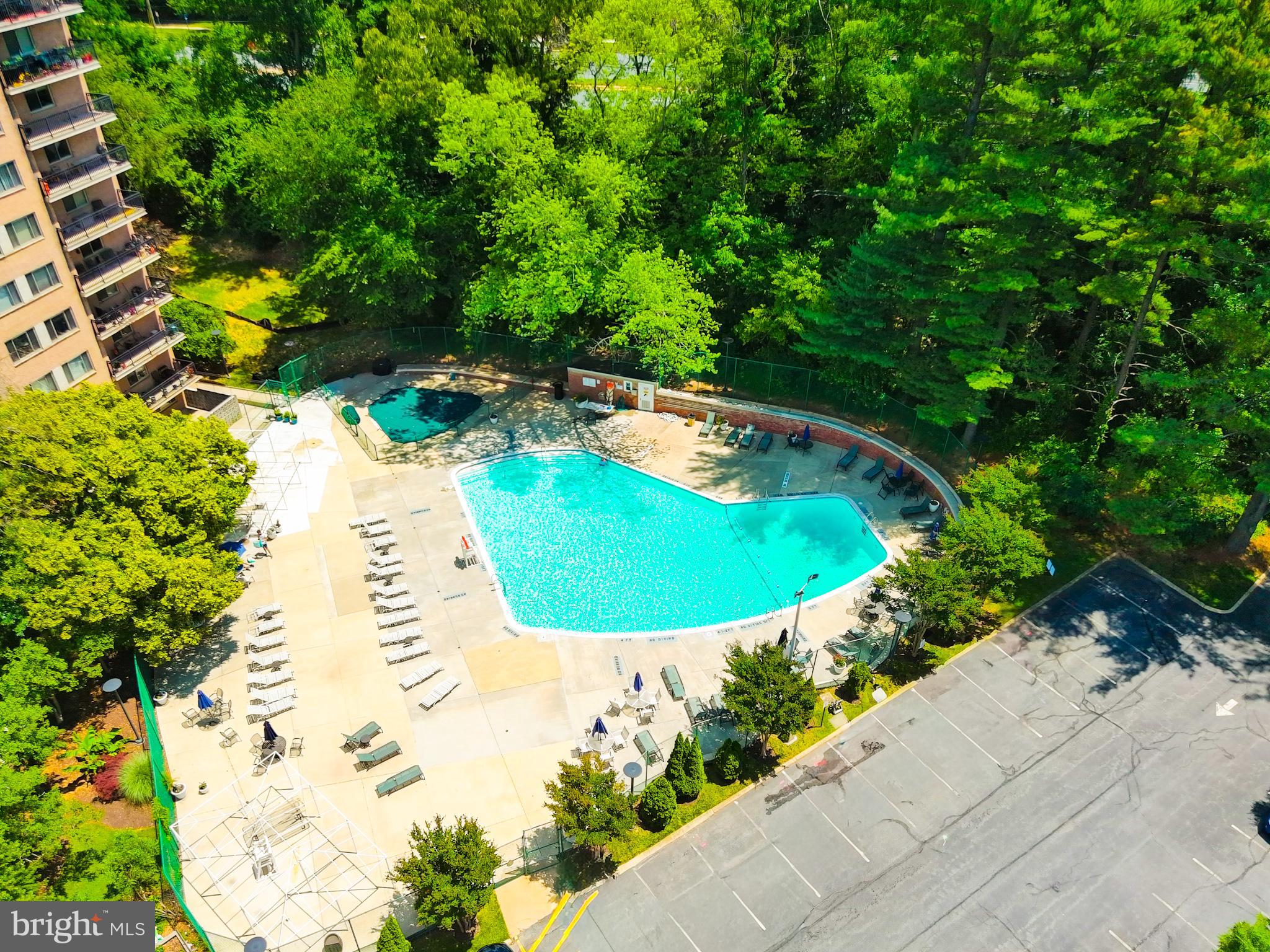 1900 Lyttonsville Road, Unit 1209 Silver Spring, MD 20910 - Photo 3 of 25
