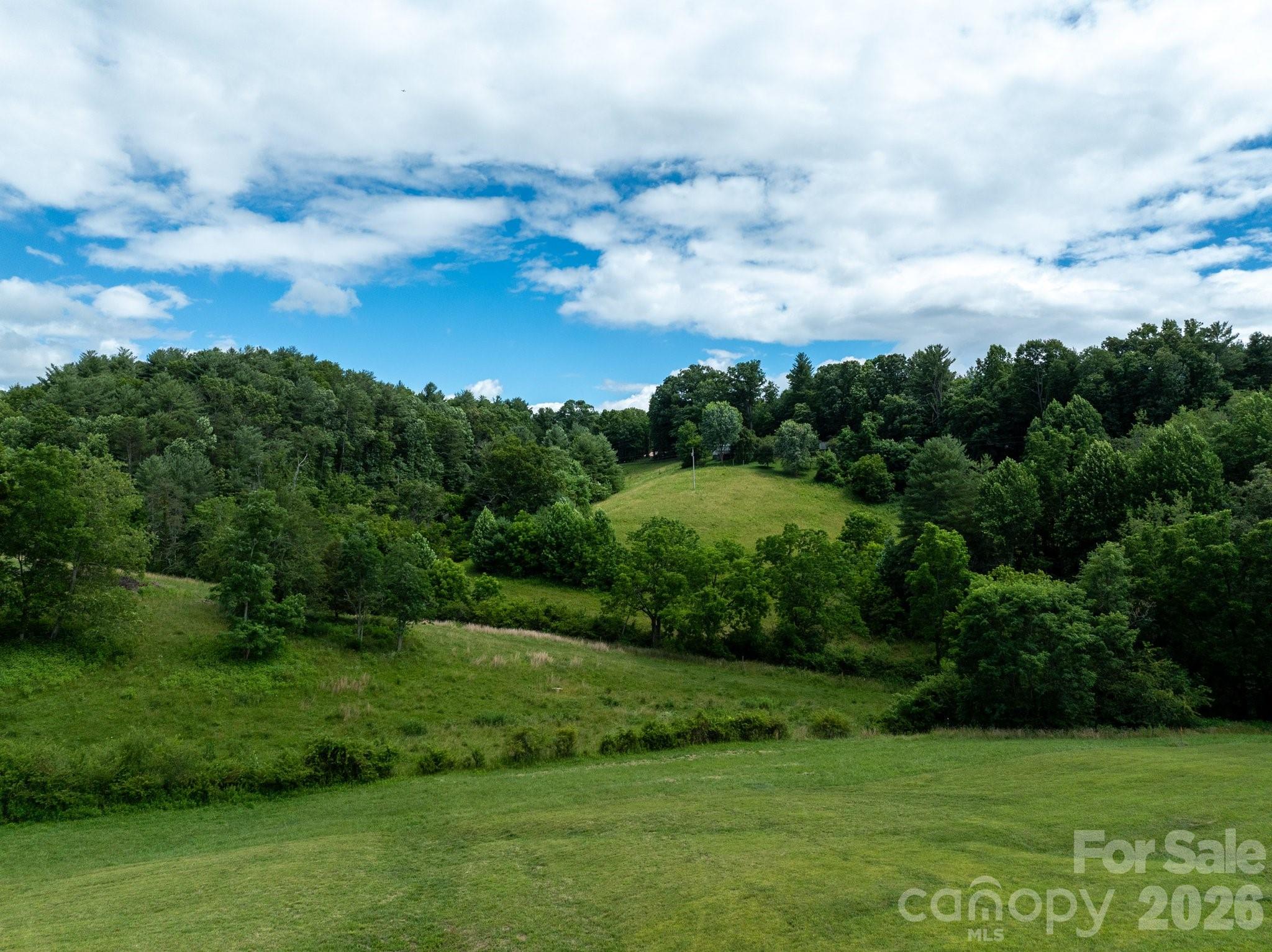 112 Grandview Road Alexander, NC 28701 - Photo 13 of 27