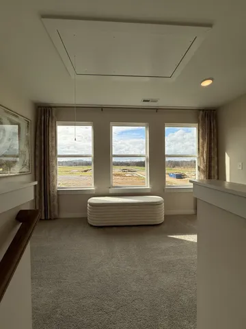 $394,999 | 317 Black Bear Dr Mount, Mount Pleasant, TN 38474