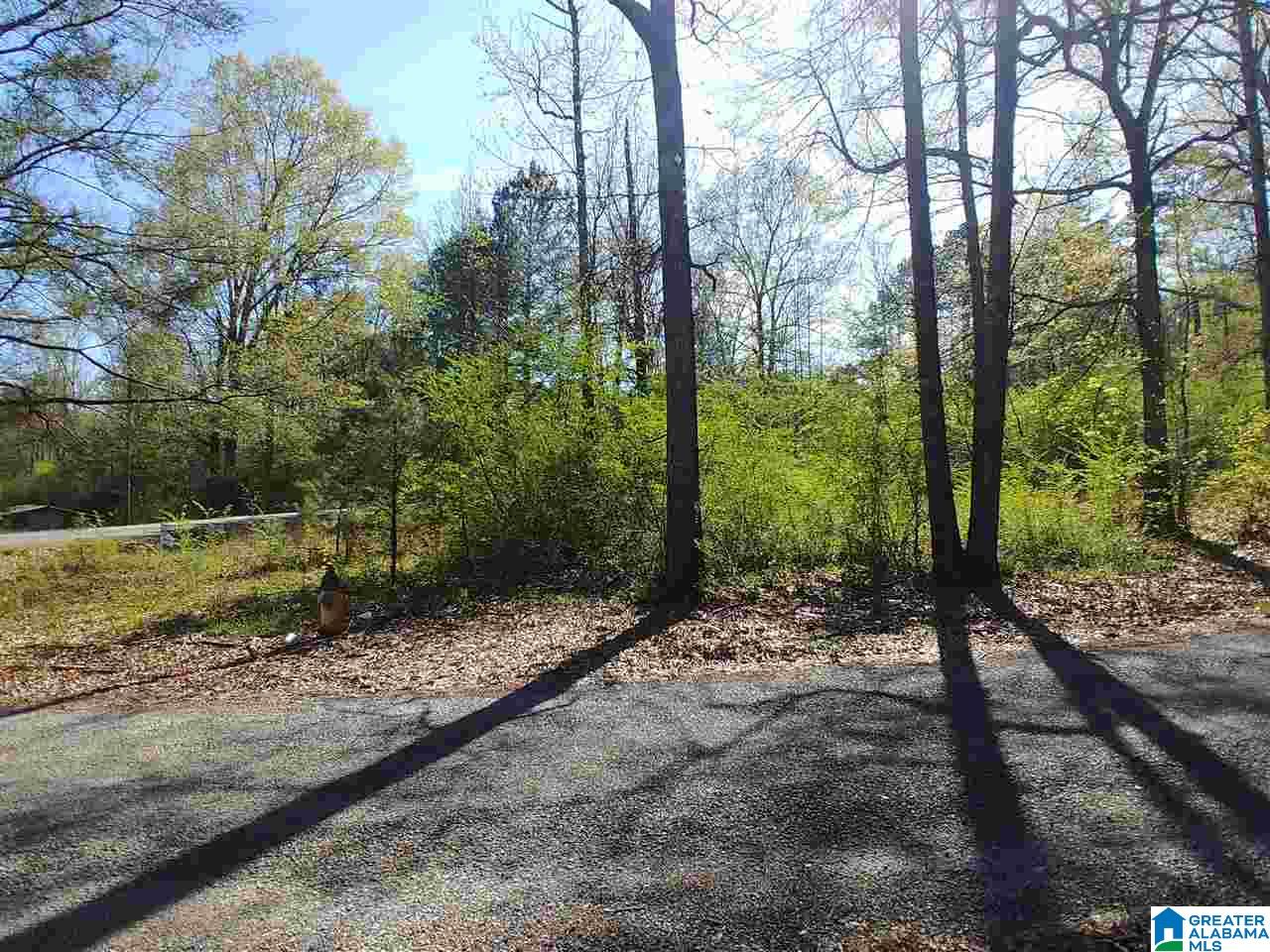 0 Roberts Mill Pond Road, Unit 1 39 Pell City, AL 35128 - Photo 8 of 29