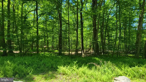 $300,000 | Mink Farm Road, Myersville, MD 21773