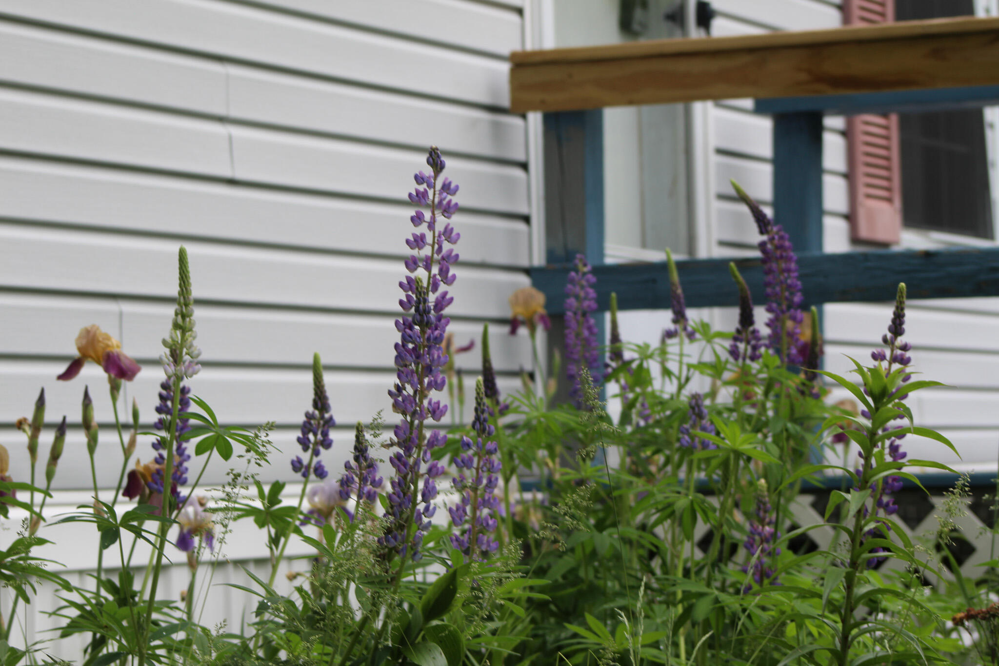 12 Haines Corner Road Livermore Falls, ME 04254 - Photo 23 of 24 IMG_1300