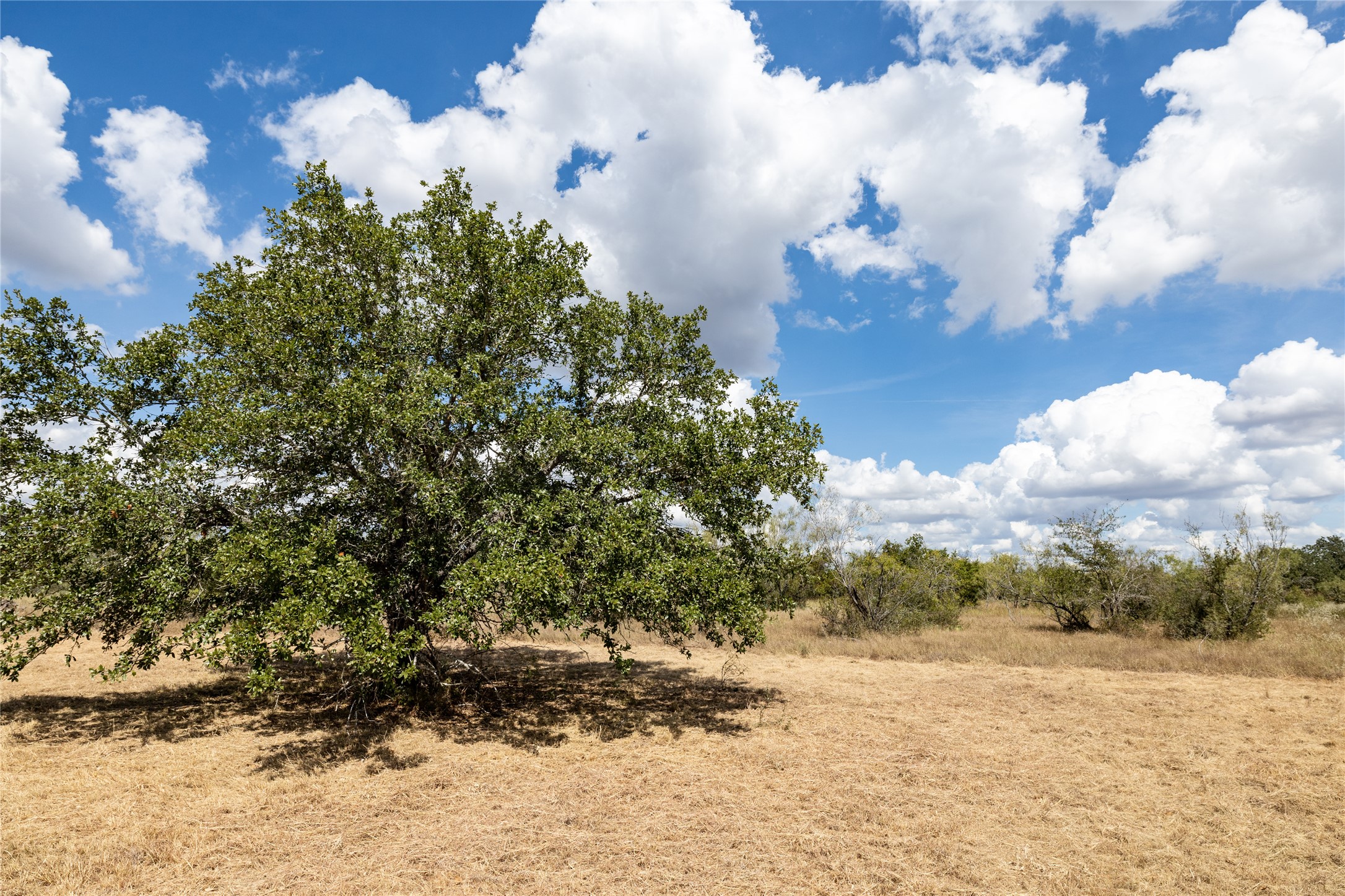 1265 Bugtussle Lane Lockhart, TX 78644 - Photo 14 of 16