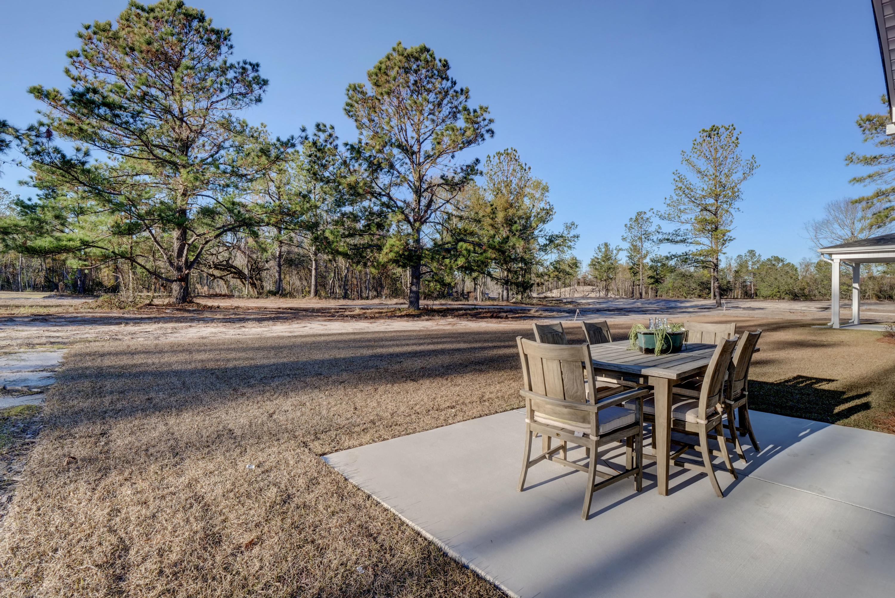 21 Violetear Ridge, Unit LOT #59 Hampstead, NC 28443 - Photo 6 of 27 Back Patio