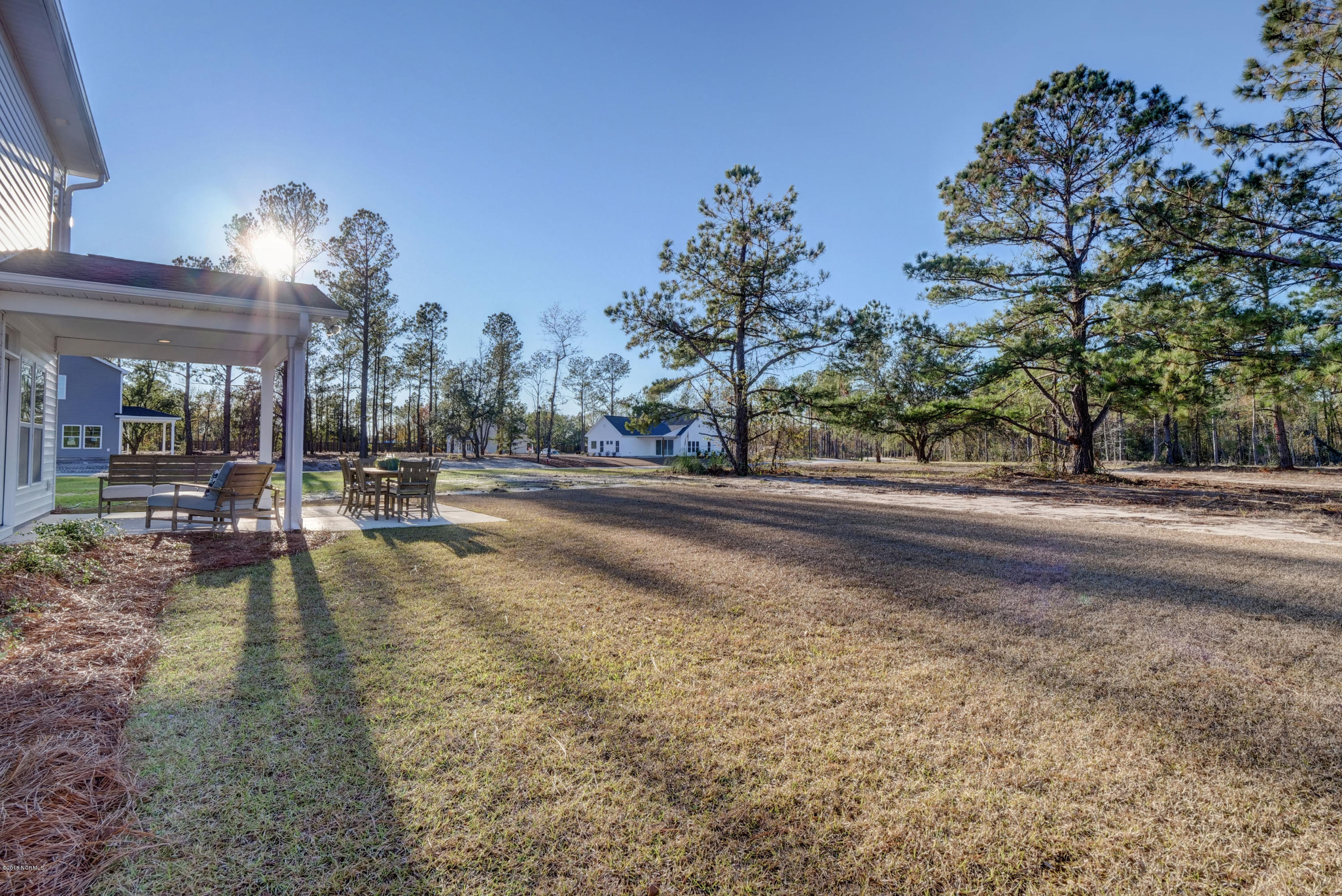 21 Violetear Ridge, Unit LOT #59 Hampstead, NC 28443 - Photo 8 of 27 Back Yard
