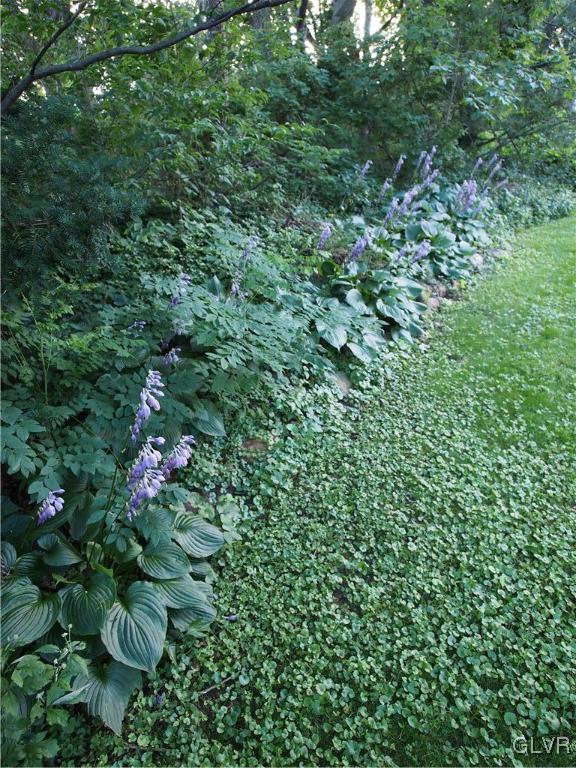 1422 Hampton Road Allentown, PA 18104 - Photo 42 of 47 Gallery Image 42