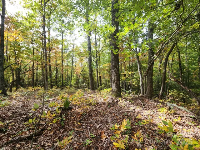 $44,900 | 99999 North Pointe Drive, Unit 2, Zirconia, NC 28790