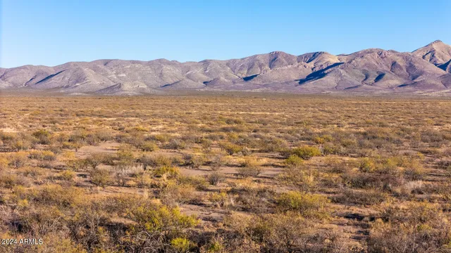 $165,000 | 3493 West Agua Blanca Road, Unit 3, Elfrida, AZ 85610