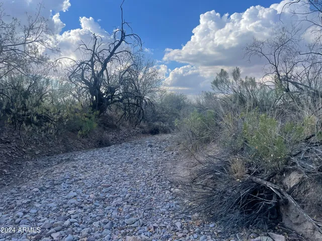 $165,000 | 3493 West Agua Blanca Road, Unit 3, Elfrida, AZ 85610