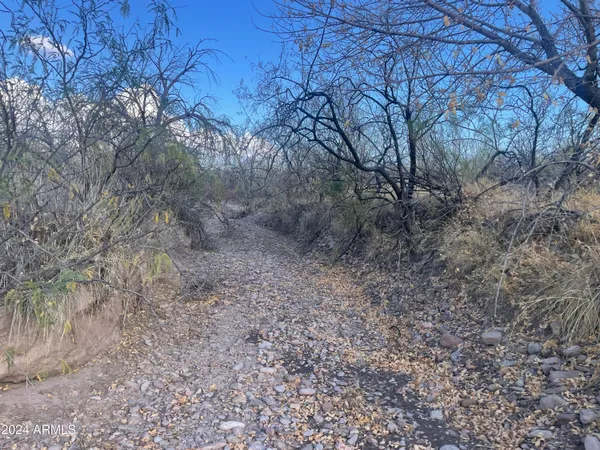 $165,000 | 3493 West Agua Blanca Road, Unit 3, Elfrida, AZ 85610