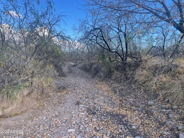 $165,000 | 3493 West Agua Blanca Road, Unit 3, Elfrida, AZ 85610