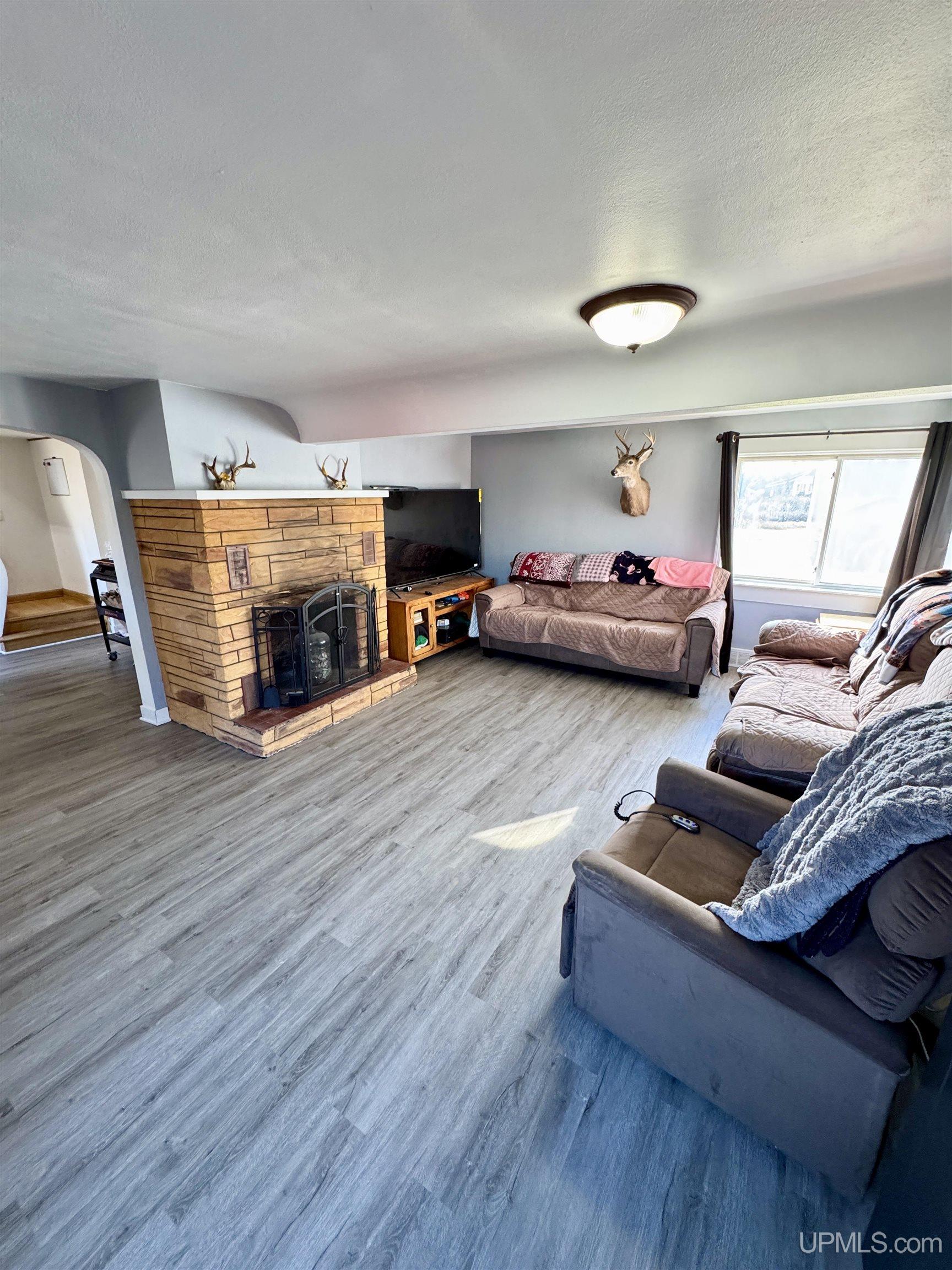 409 Excelsior Street Ishpeming, MI 49849 - Photo 3 of 33 Gallery Image 3