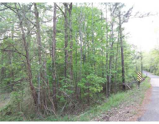 0 Castor Plunge Road Woodworth, LA 71485 - Photo 1 of 1 Gallery Image 1