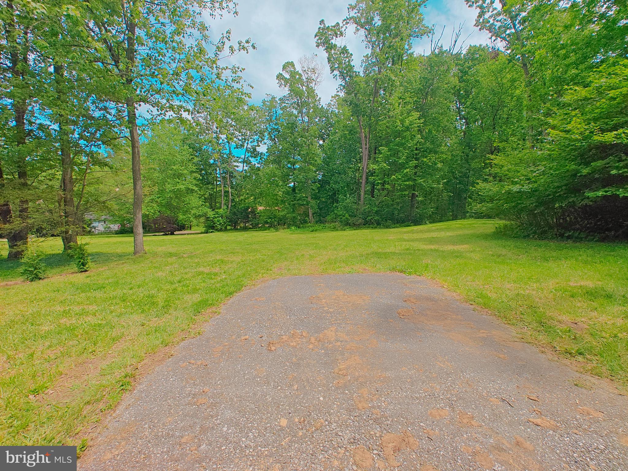 a view of a park with large trees