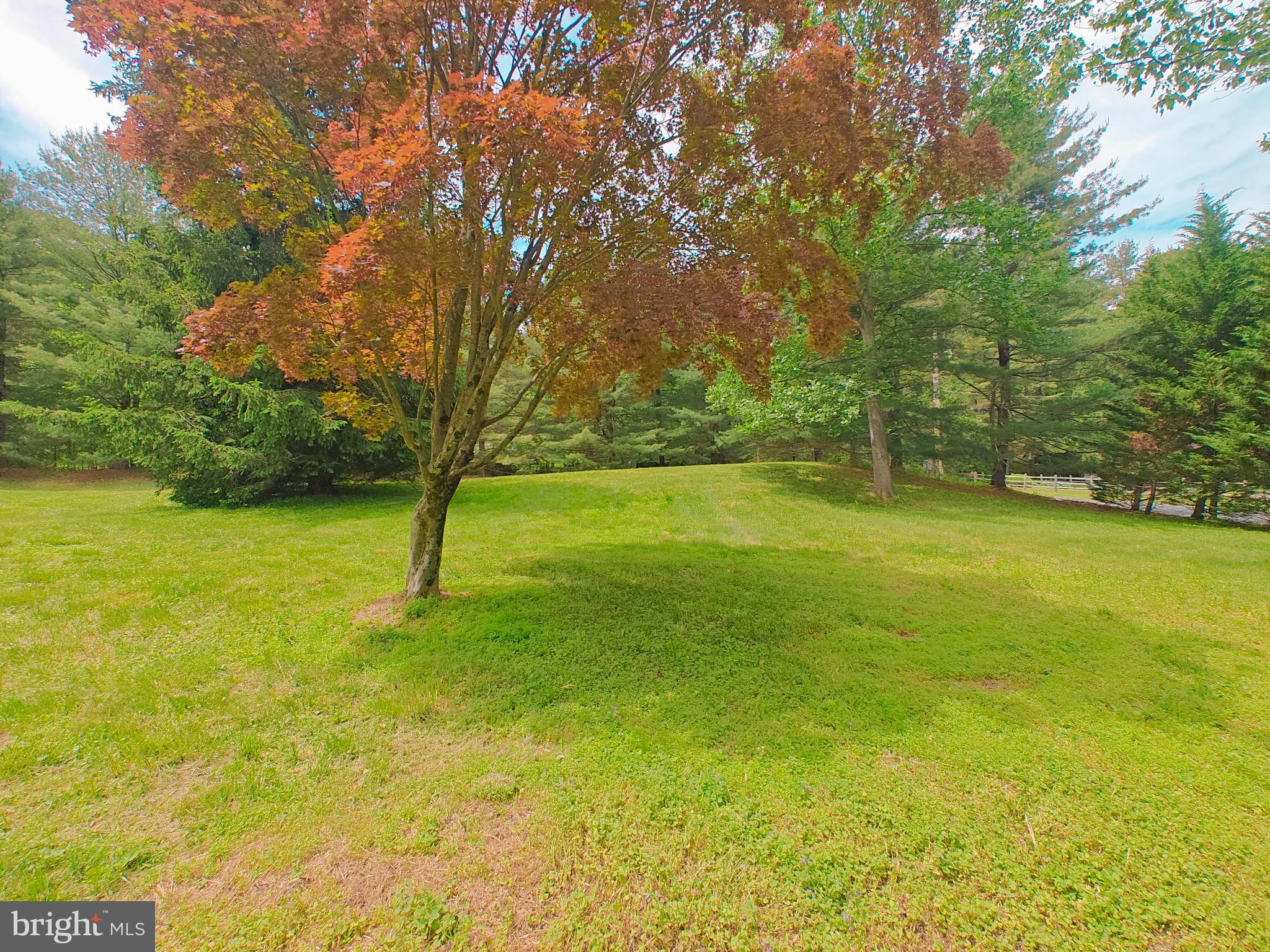 152 Icedale Road Honey Brook, PA 19344 - Photo 15 of 18 a view of yard with swimming pool and green space