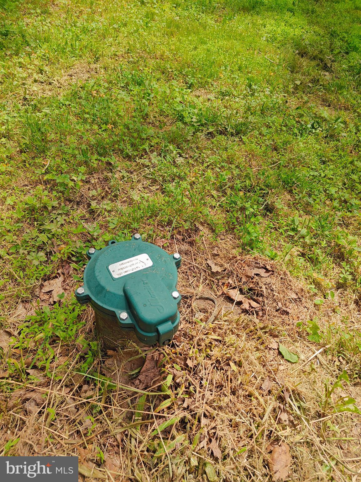 152 Icedale Road Honey Brook, PA 19344 - Photo 9 of 18 a view of a backyard with plants and a fountain