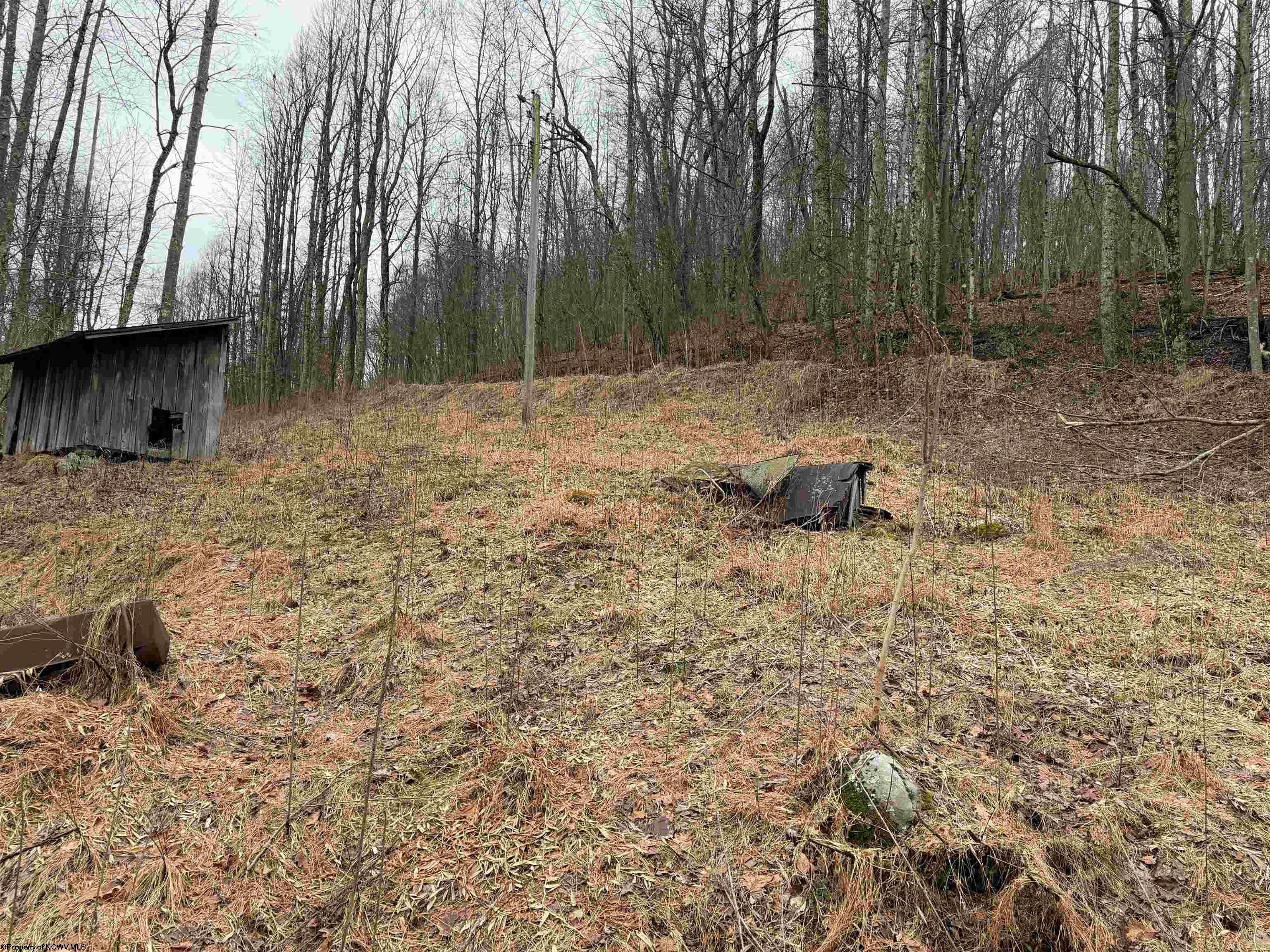 Tbd Carrolton Road Buckhannon, WV 26201 - Photo 4 of 37 Gallery Image 4