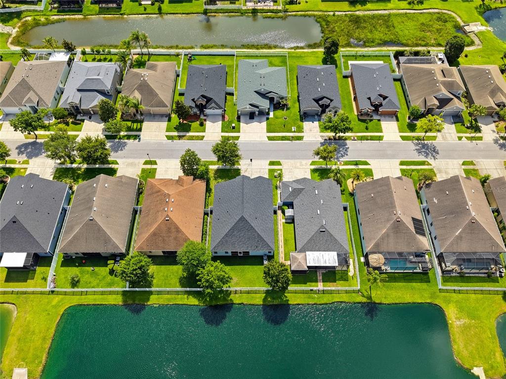 6906 Boulder Run Loop Wesley Chapel, FL 33545 - Photo 45 of 53